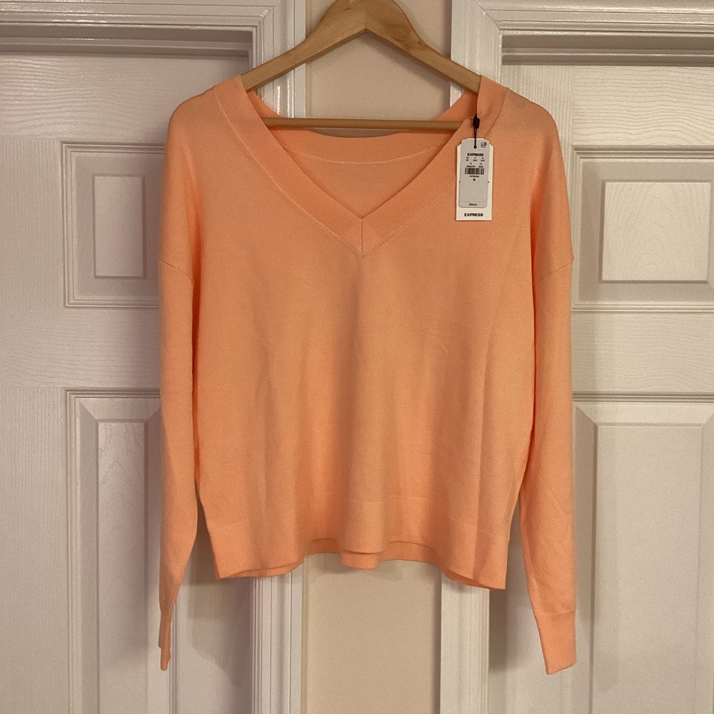 Express Peach Nectar Reversible Silky Sweater